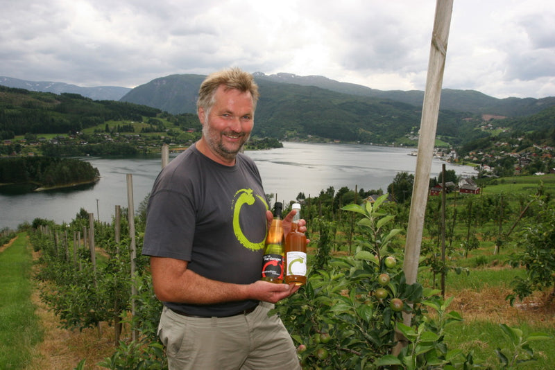 Ulvik Frukt og Cideri