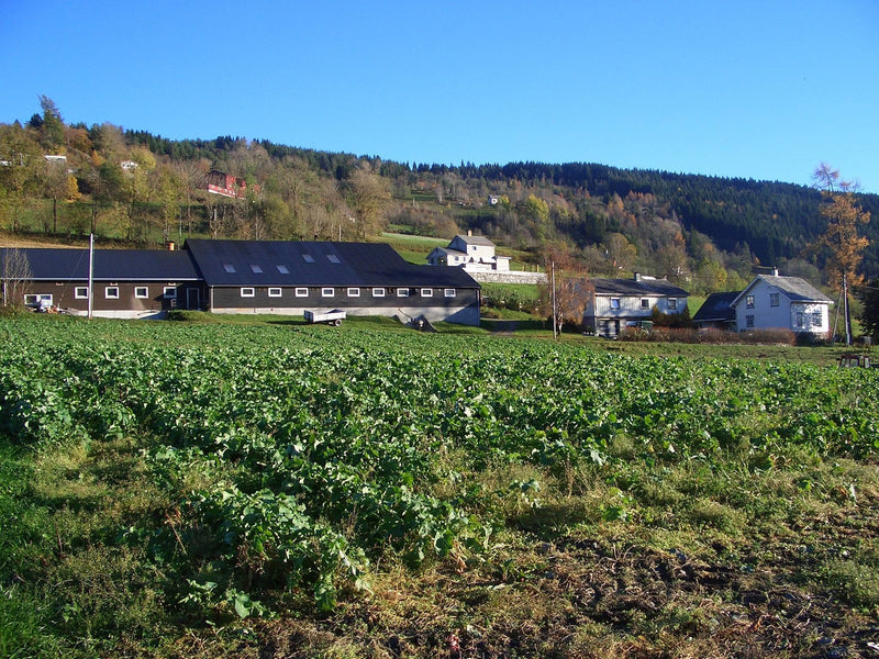 Dugstadgarden